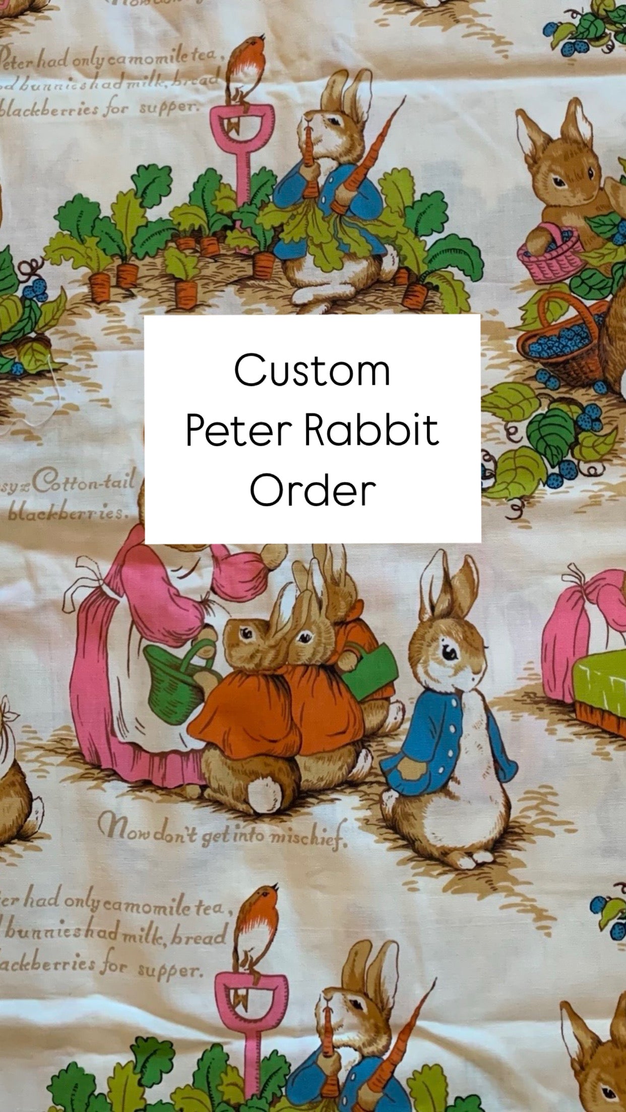 Peter Rabbit Custom Listing