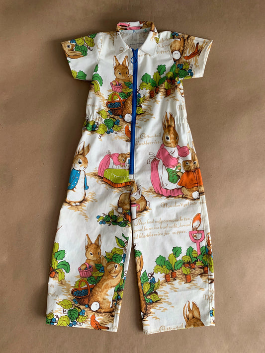 Made to Order | Peter Rabbit Custom Listing