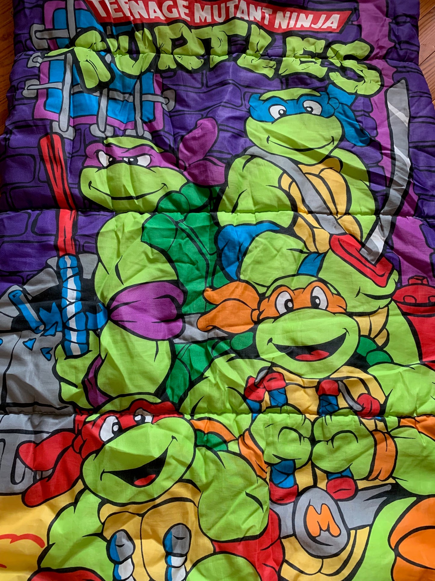 Teenage Mutant Ninja Turtles Sleeping Bag (2)