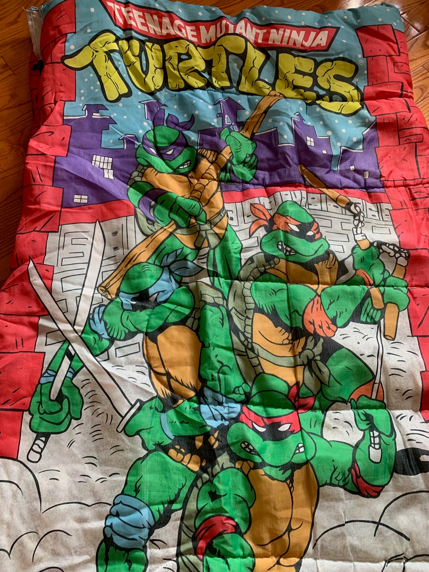 Teenage Mutant Ninja Turtles Sleeping Bag (1)